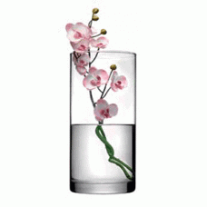 Ваза для цветов «Ботаника»; стекло