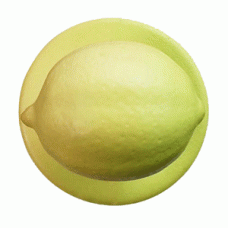 Пукли «Лимон» [12шт]; пластик